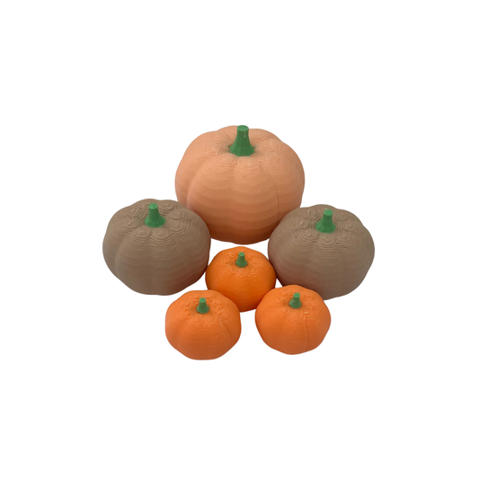 Pompoenen - Loose Parts (Set van 6)