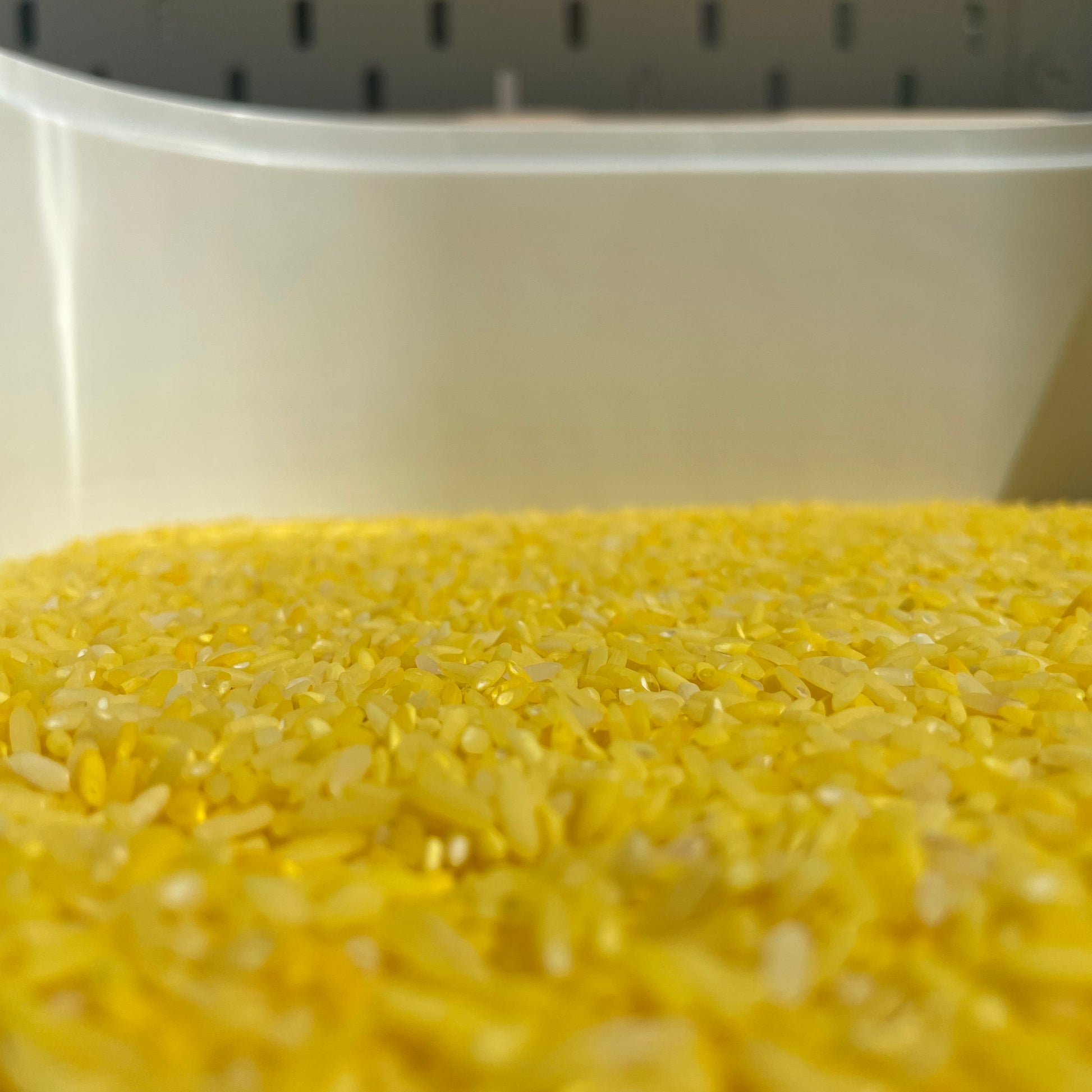 Geel 500g - sensorische speelrijst Wonder Sense