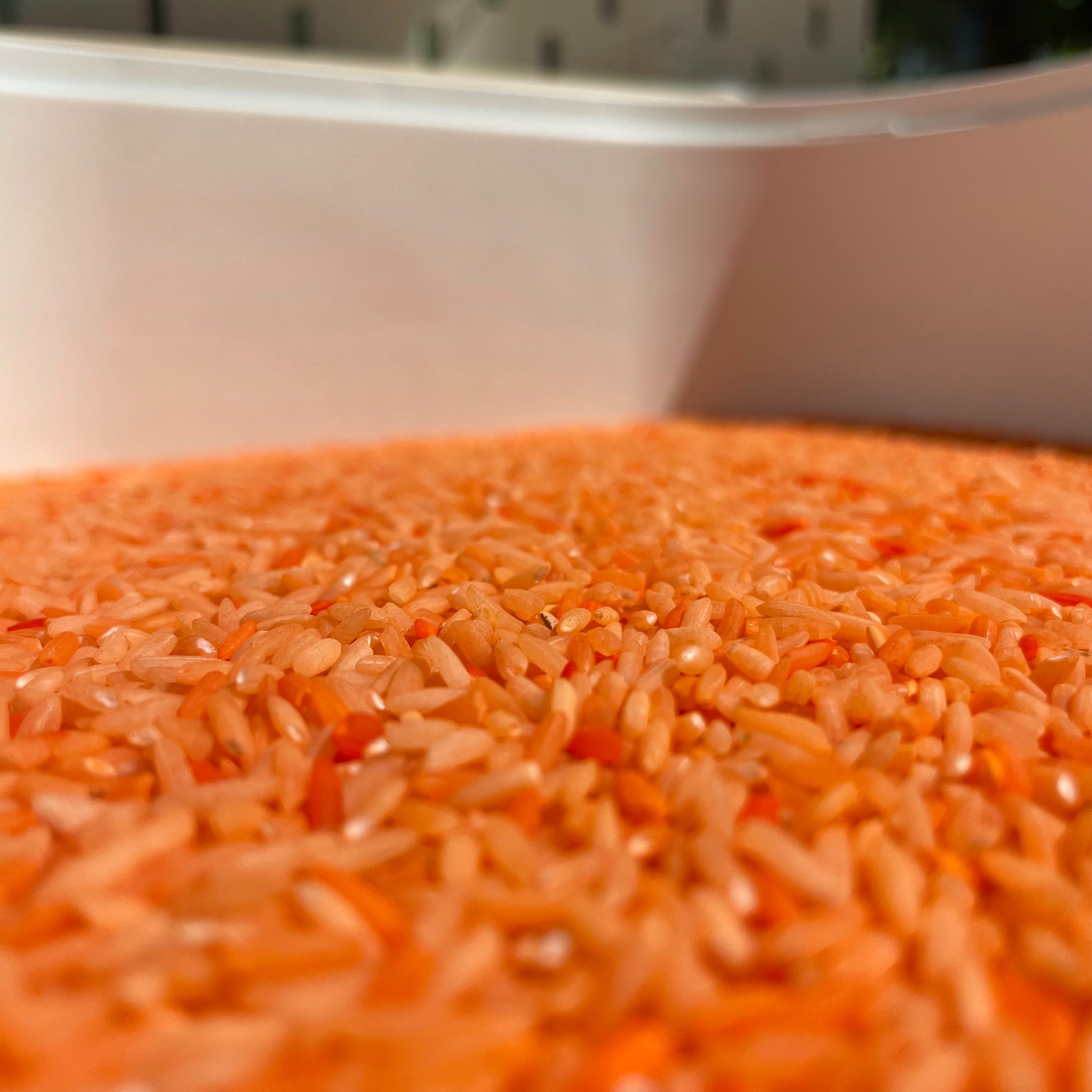 Oranje 500g - sensorische speelrijst Wonder Sense