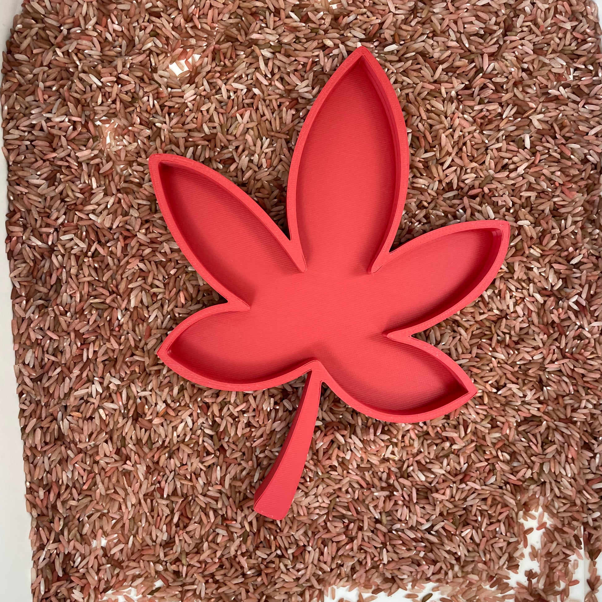 Blaadje - Vulvorm (variant 2) Wonder Sense