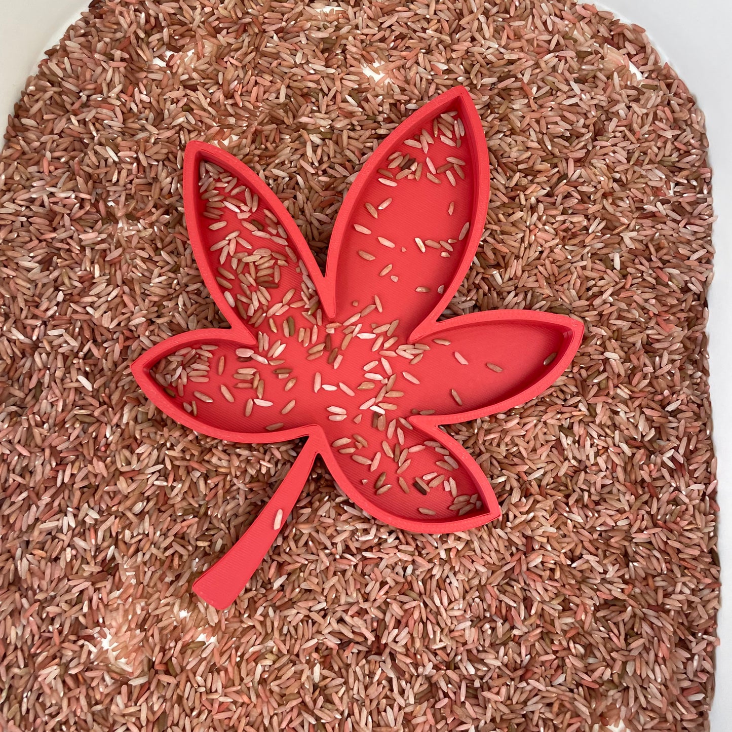 Blaadje - Vulvorm (variant 2) Wonder Sense