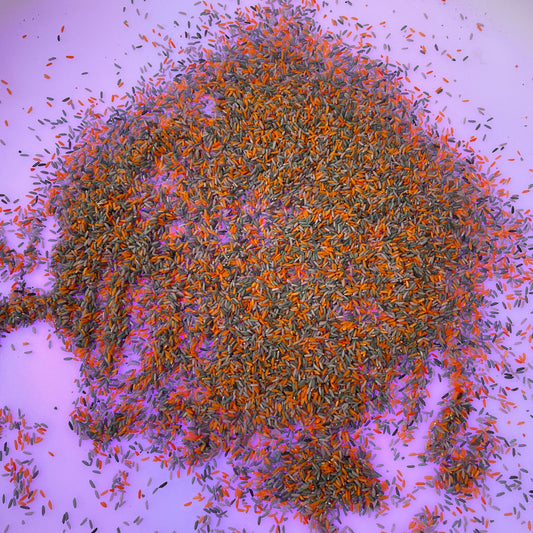 Halloween mix 500g - Sensorische speelrijst Wonder Sense