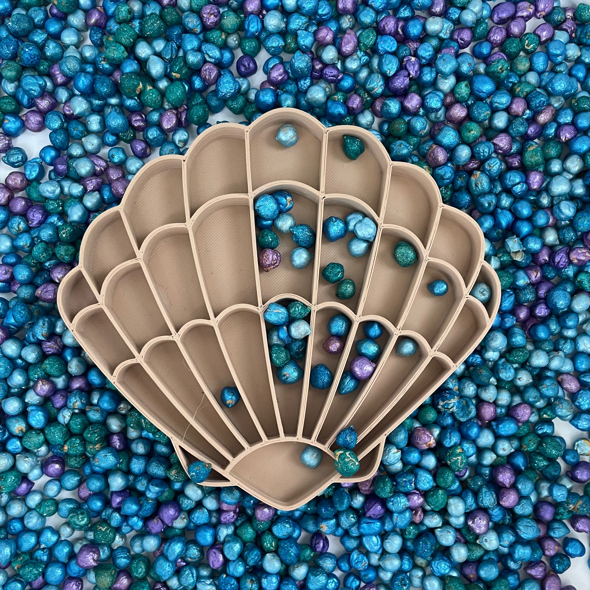 Schelp - Vulvorm Wonder Sense